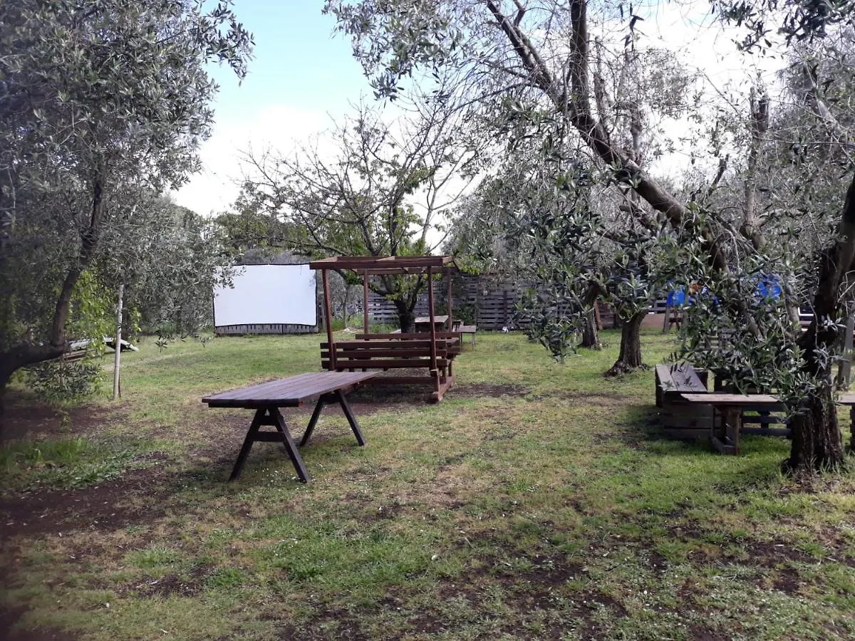 Bici Grill Decimo Miglio Aeroporto Ciampino Francigena Country House